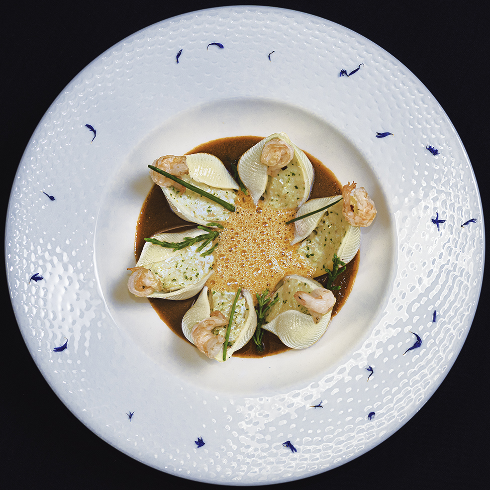 Conchiglie pasta dish