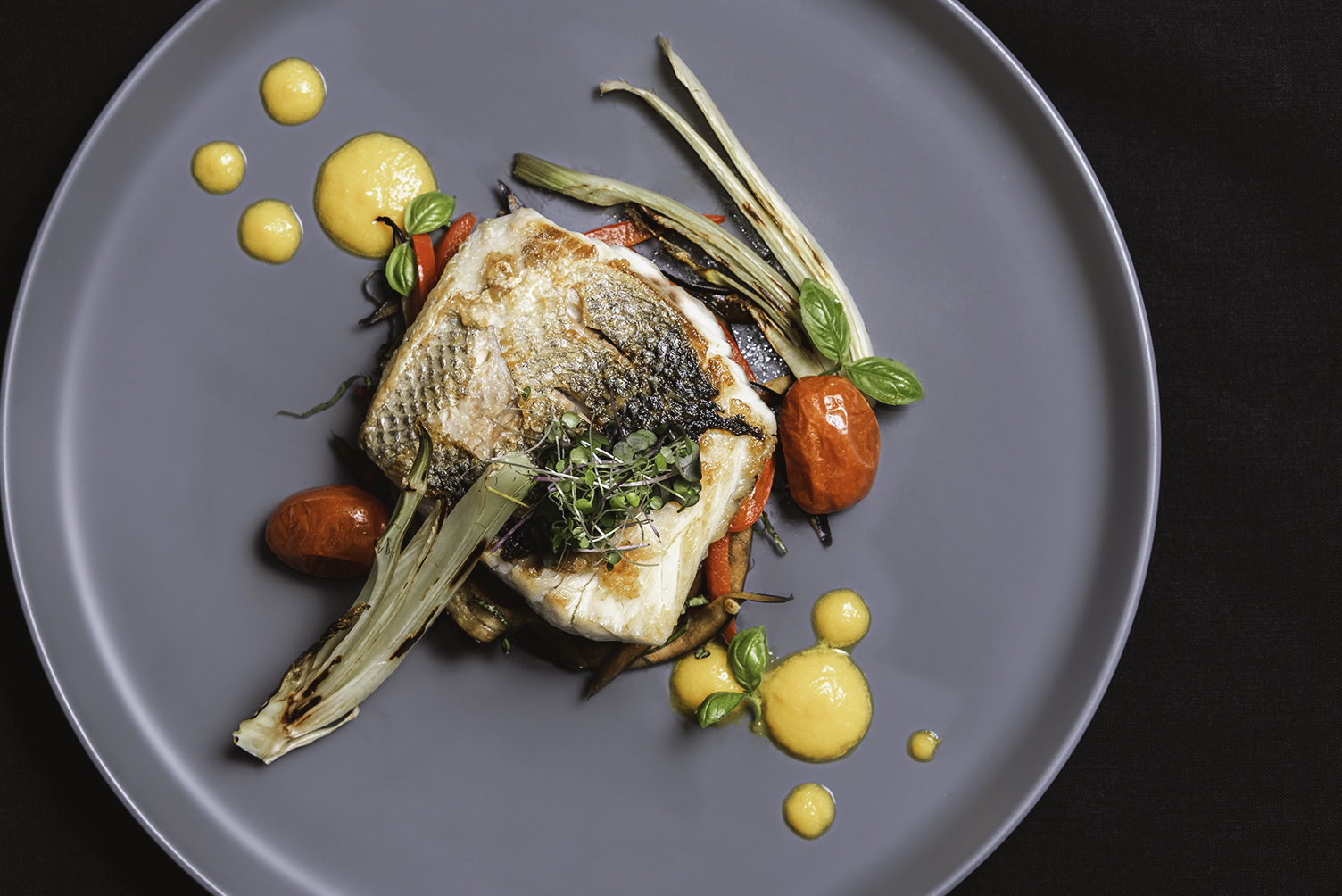 Elegant plated dish for an event